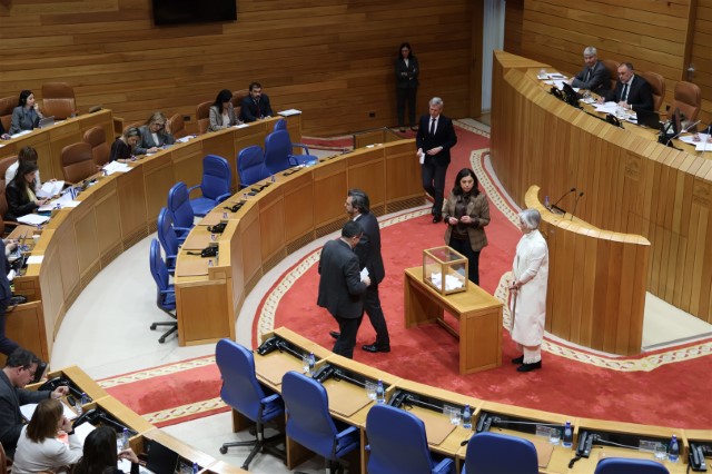 O Pleno do Parlamento elixe a María Dolores Fernández Galiño como valedora do pobo